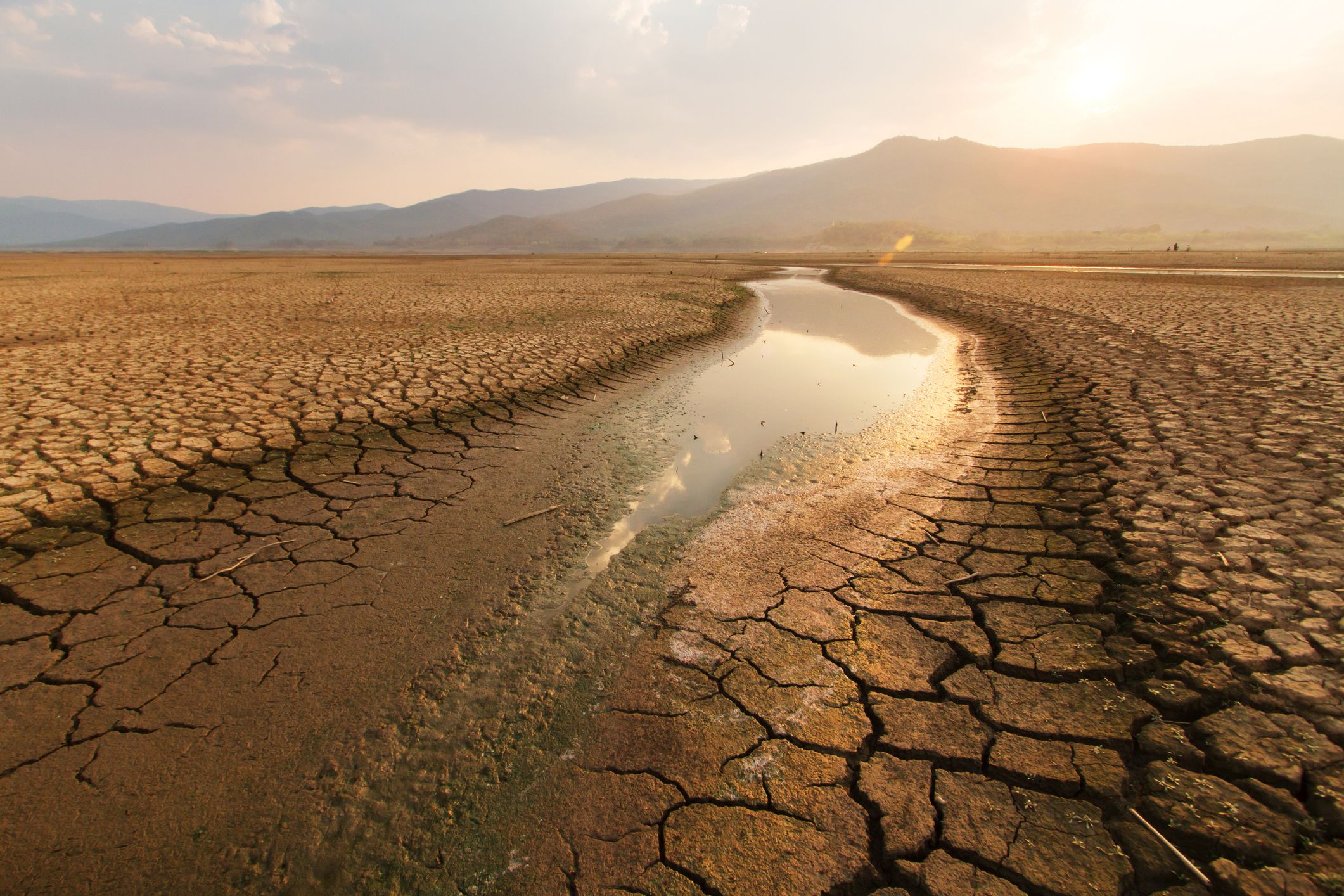 a dirt road with cracks in the ground