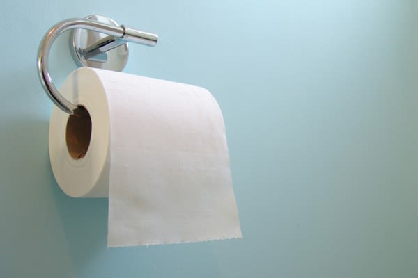 digestive system, health, habits, diarrhoea, toile