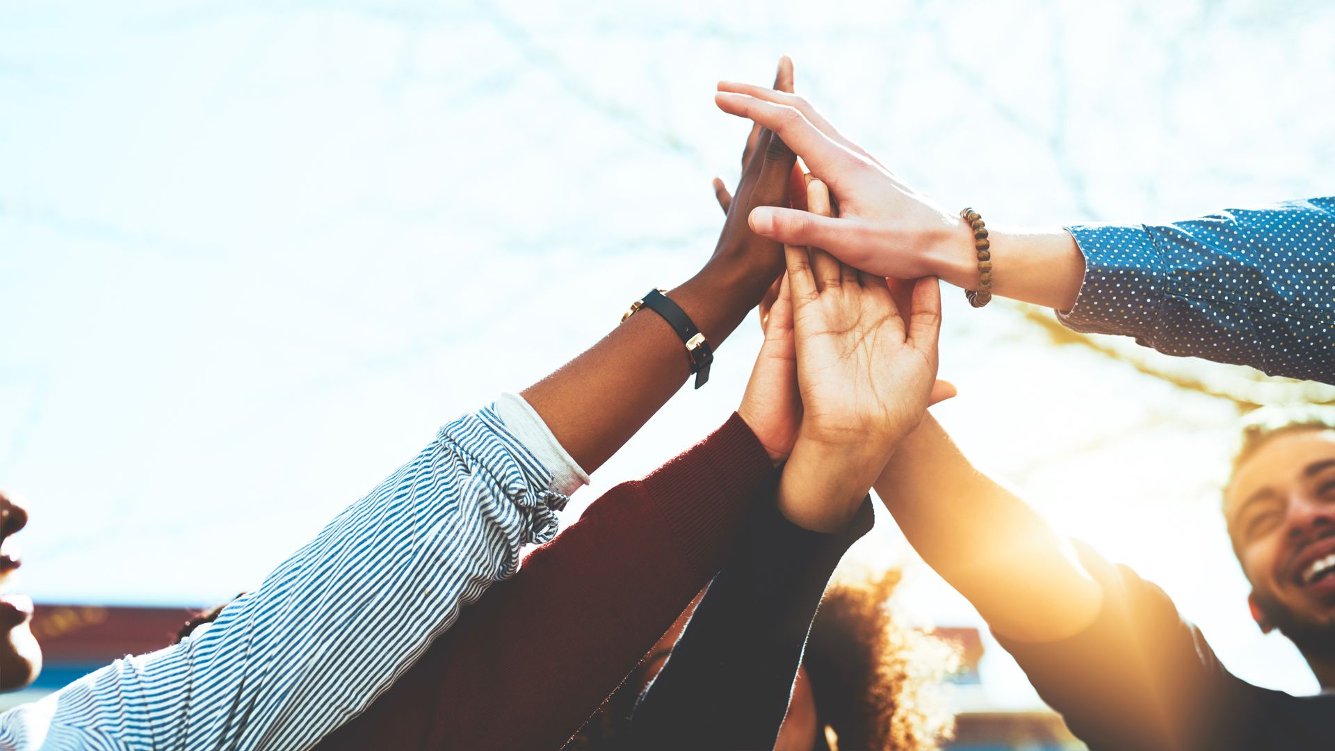 person showing green plant