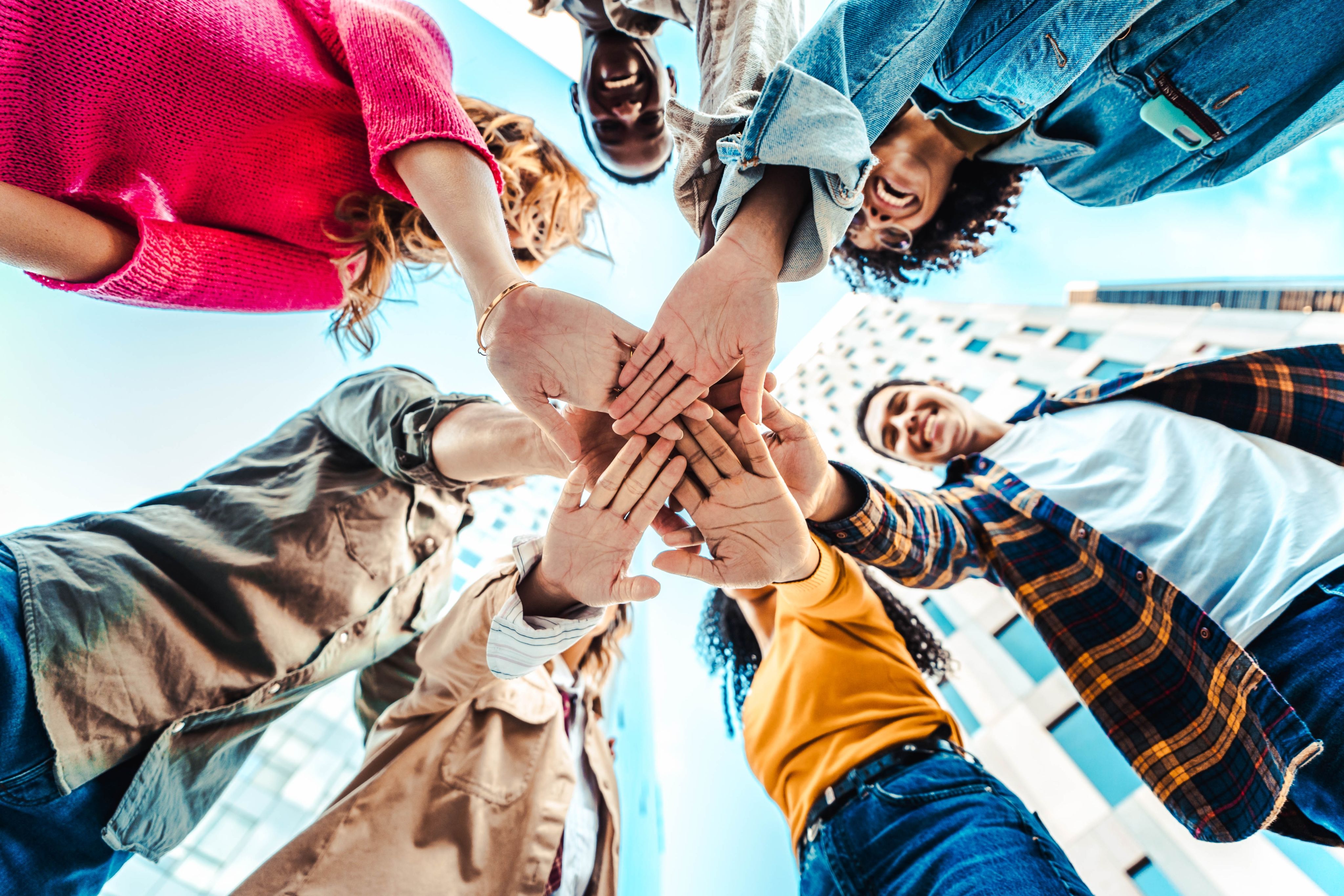 person showing green plant