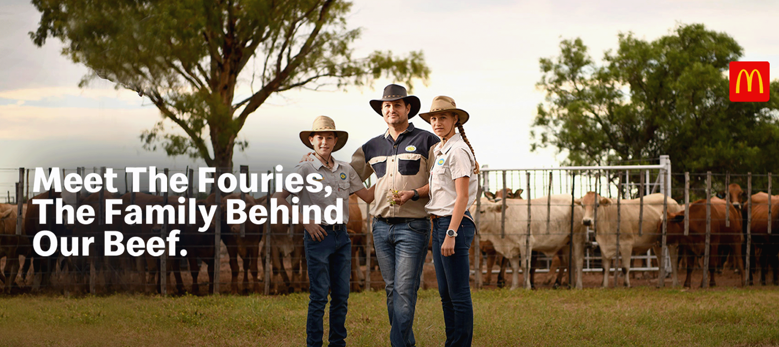 two red and yellow mcdonalds boxes