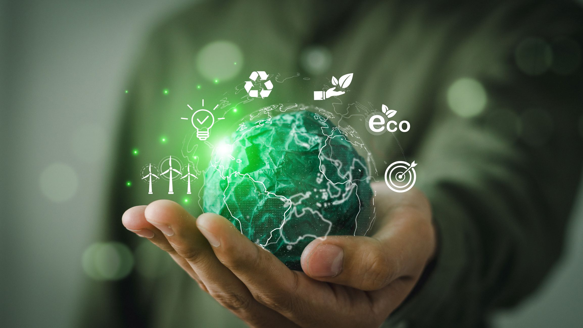 green leafed plants during daytime